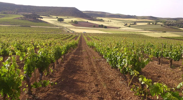 西班牙葡萄酒產區(qū)