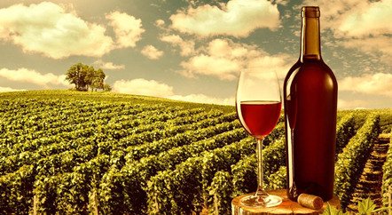 刷新拍賣紀錄的1945年羅曼尼·康帝是一款怎樣的酒？